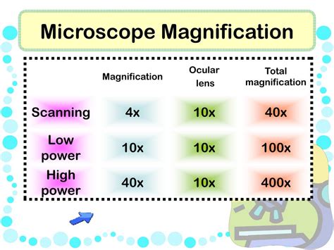 levels of magnification microscope.
